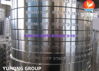 ASTM A182 Standard F304 F316L Material Stainless Steel Flange High Strength