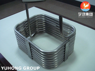 Heat-exchanger/Boiler tube Pickled / Bright Annealed Surface Stainless Steel Seamless Tube  ASME SA213 TP316/316L