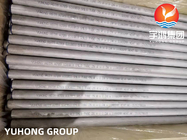 ASTM A789 S31803 Duplex Stainless Steel Seamless Tube HT/ECT Available