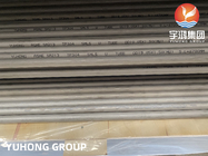 Stainless Steel Seamless U Bend Boiler Tube ASTM A213 TP304 1.4301