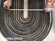 Seamless Stainless U Bend Tubes and Welded Stainless U Bend Tube
