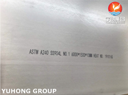 High Resistance ASTM A240 TP904L 1.4539 N08904 Stainless Steel Plate