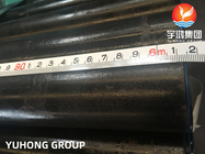 Alloy Steel Seamless Tubes A213 T11 T12 T22  Boiler Tube Minimum Wall Thickness