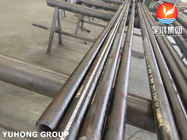 ASTM SA213 T22 T23 Alloy Steel Seamless Tube For Boiler And Heat Exchanger