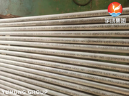 Heat Exchanger Tube, ASME SA213 TP444 (UNS S44400) Ferritic Stainless Steel Seamless Tube