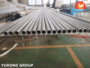 ASTM A213 (ASME SA213) TP444 Stainless Steel Seamless Pipe Applied For Heat Exchanger