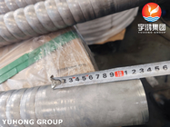 Austenitic Stainless Steel ASTM A312 TP310S 1.4845 Corrugated Tube