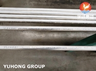 A213 TP304 Stainless Steel Bright Annealed U Bend Tube Seamless