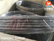 ASTM A269 TP316L Stainless Steel Seamless Bright Annealed Coiled Tubes
