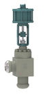 High Performance General PED Ss Flow Control Valve