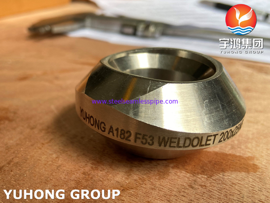 ASTM A182 F53 Duplex Steel Nipple Weldolet Forged Pipe Fitting