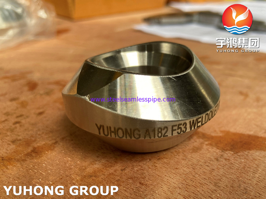 ASTM A182 F53 Duplex Steel Nipple Weldolet Forged Pipe Fitting