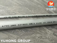 ASTM A790 S31803 Super Duplex Stainless Steel SMLS Pipe High Corrosion Resistance