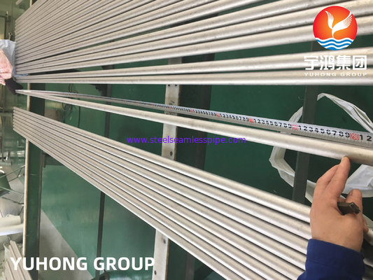 ASME SA213 TP310S 1.4845 Stainless Steel Seamless Heat Exchanger Tube