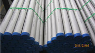 6M Pickled and Annealed Stainless Steel Welded Pipe JIS G3459 SUS316L SUS304L 300A SCH 40