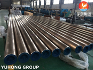 DIN 86019 CuNi10Fe1.6Mn Copper Nickel Alloy Seamless Pipe for Offshore