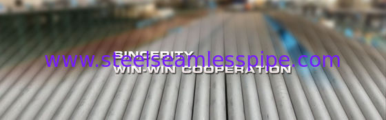 ASTM A213 TP310 Stainless Steel Seamless Tube