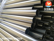 ASTM A213 / ASME SA213 Stainless Steel Bright Annealed Tube TP321 / S32100 / 1.4541