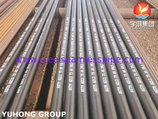 ASTM A213 T5 Alloy Steel Seamless Tube Hot Finished for Heat Exchanger and Boiler Applications with Customized Size