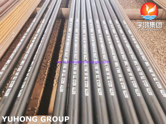 15Mo3 TUBING ASTM A213 T5 ALLOY STEEL SEAMLESS TUBE HOT ROLLED