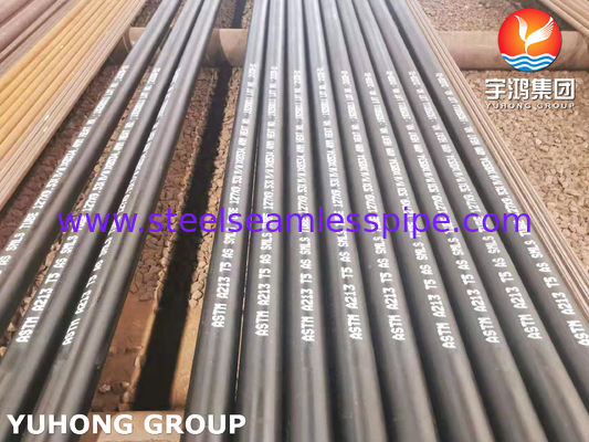 ASTM A213 T5 15Mo3 Chromium-Molybdenum Alloy Steel Seamless Boiler Tube Hot Finished