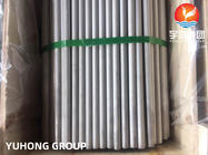 ASME SA213 TP321 / 1.4541 / S32100 Stainless Steel Seamless Boiler Tube With NDT