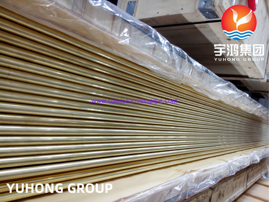 ASTM B111 C44300 Seamless Copper Alloy Tube Brass Tube For Evaporator Tubing