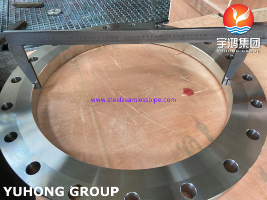 DIN2576 ASTM A182 F304 Stainless Steel Flange Forged Plate Flange