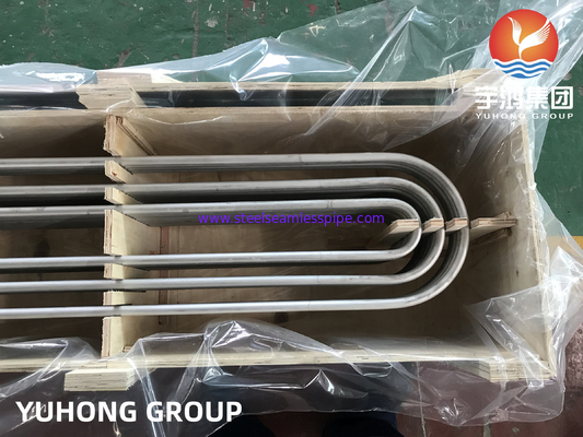 Stainless Steel Seamless U Bend Boiler Tube ASTM A213 TP304 1.4301