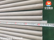 ASTM A269 TP304L Stainless Steel Seamless Tube For Heat Exchanger Tubes