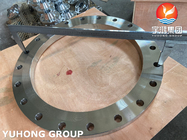 ASTM A182 F316L Stainless Steel Forged Flange B16.5 and Steel Flange for Industrial