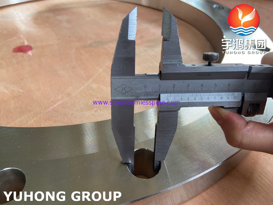 ASTM A182 F316L Stainless Steel Forged Flange B16.5 and Steel Flange for Industrial