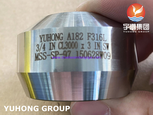 SS Weldolet A182 F316 / F316L Outlet Stainless Steel Forged Fitting