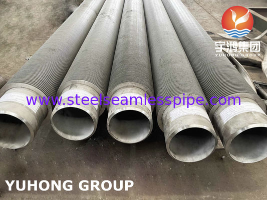 Stainless Steel High Frequency Welded Fin Tube, TP304H SMLS Pipe With SS304 Solid Fin For Power Plants