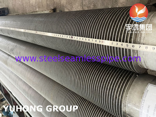 Stainless Steel High Frequency Welded Fin Tube, TP304H SMLS Pipe With SS304 Solid Fin For Power Plants