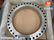 ASME SA182 F317L / UNS S31703 / 1.4449 Stainless Steel Spade And Ring Spacer Flanges