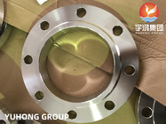 ASTM A182 Gr F316L Stainless Steel Flange Pharmaceutical equipment Application
