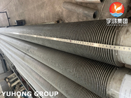 ASTM A312 TP304H Stainless Steel High Frequency Welded / HFW Finned Tube