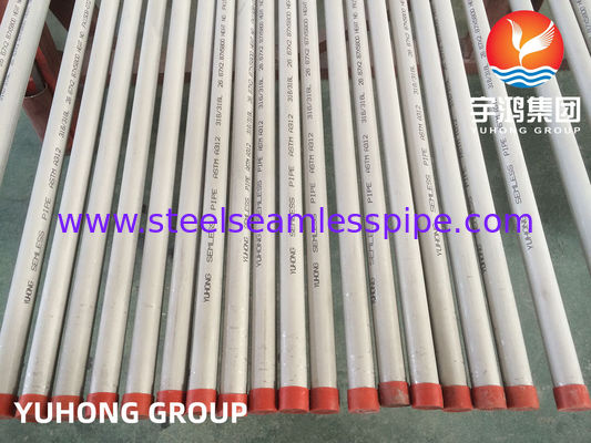 Tubos de Acero Inoxidable Sin Costura ASME SA312 ASTM A312 TP304L  TP316L PICKLED AND ANNEALED