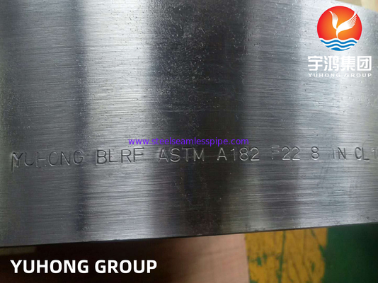 ASTM A182 F22 1.7380 Alloy Steel Forged Flange Blind RF Face ANSI B16.5