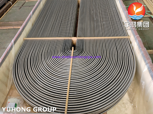 ASTM A213 (ASME SA213) TP304 Seamless Austenitic Alloy Steel U Bend Tube