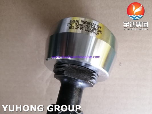 Forged Fittings, ASTM A182 F304, F304L Stainless Steel NPT Weldolet Class3000 MSS SP-97