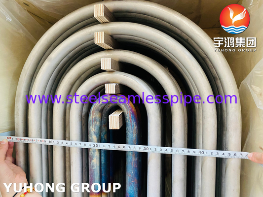 Boiler U Tube ASTM A213 TP304 / 304L SS Seamless U bend Tube