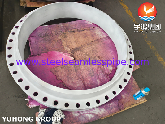 ASTM A182 F310 Stainless Steel Forged Flange Brida