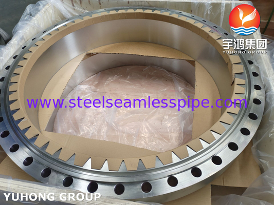 ASTM A182 F310 Stainless Steel Forged Flange Brida