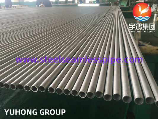 Bright Annealed Stainless Steel Tube TP304, TP347, TP316, TP316L, TP316Ti with Cold Press. Plain End with Plastic Cap