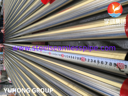 Bright Annealed Stainless Steel Tube TP304, TP347, TP316, TP316L, TP316Ti with Cold Press. Plain End with Plastic Cap