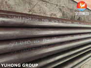 ASTM A213 T22, 1.7335 Alloy Steel Seamless Tube For Boiler And Heat Exchanger