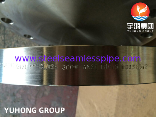 ASTM A182 F317, F317L Stainless Steel Blind Raised Face Flange ANSI B16.5