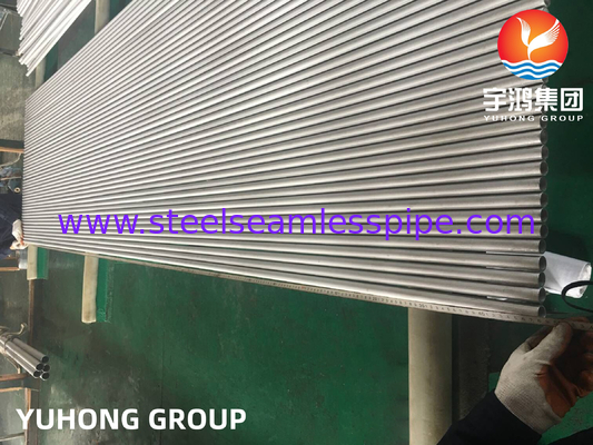 Stainless Steel Heat Exchanger Tube ASTM A213 TP304 304L TP317 TP321 With High Performance,Pickled Annealed ,Plain End